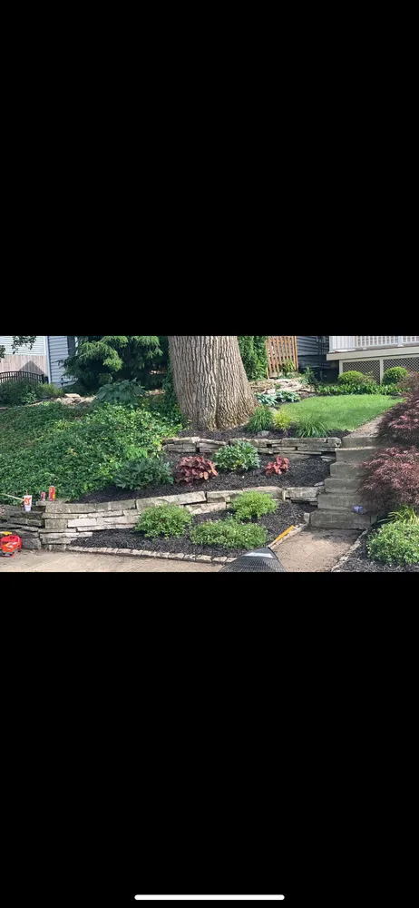 Reliable lawn care service for beautiful yards across Cincinnati, OH - Cincy Mow Blow & Go