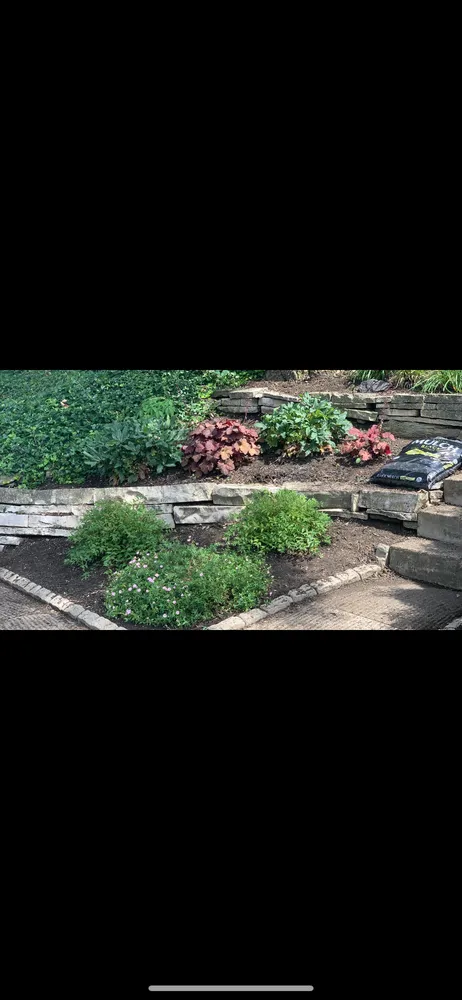 Top-rated landscape design experts serving Cincinnati, OH - Cincy Mow Blow & Go