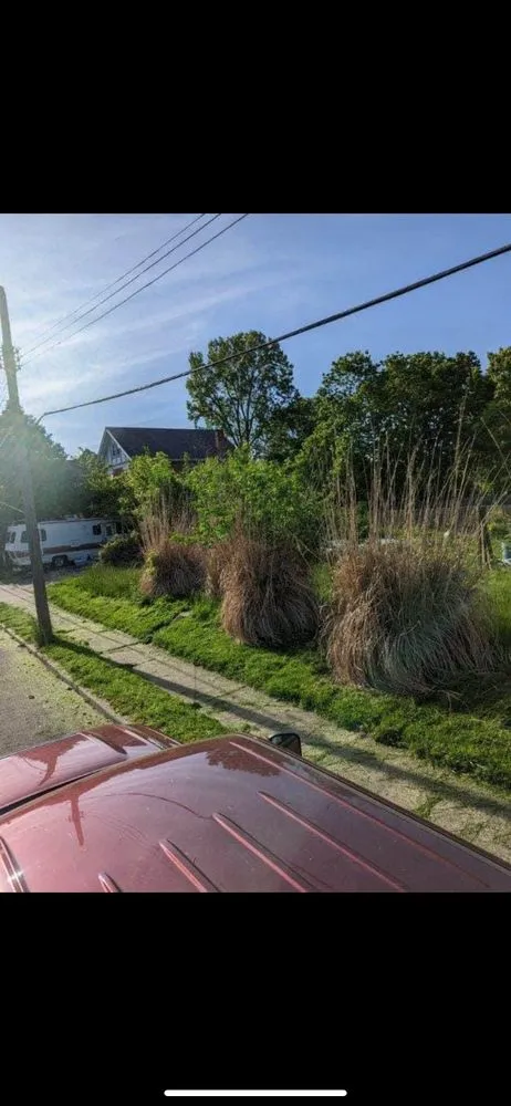 Custom yard maintenance for outdoor upgrades in Cincinnati, OH by Cincy Mow Blow & Go