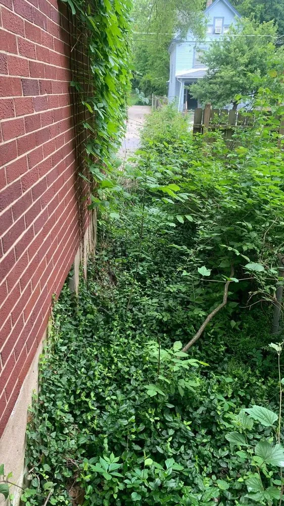 Trusted lawn care service experts serving Cincinnati, OH - Cincy Mow Blow & Go