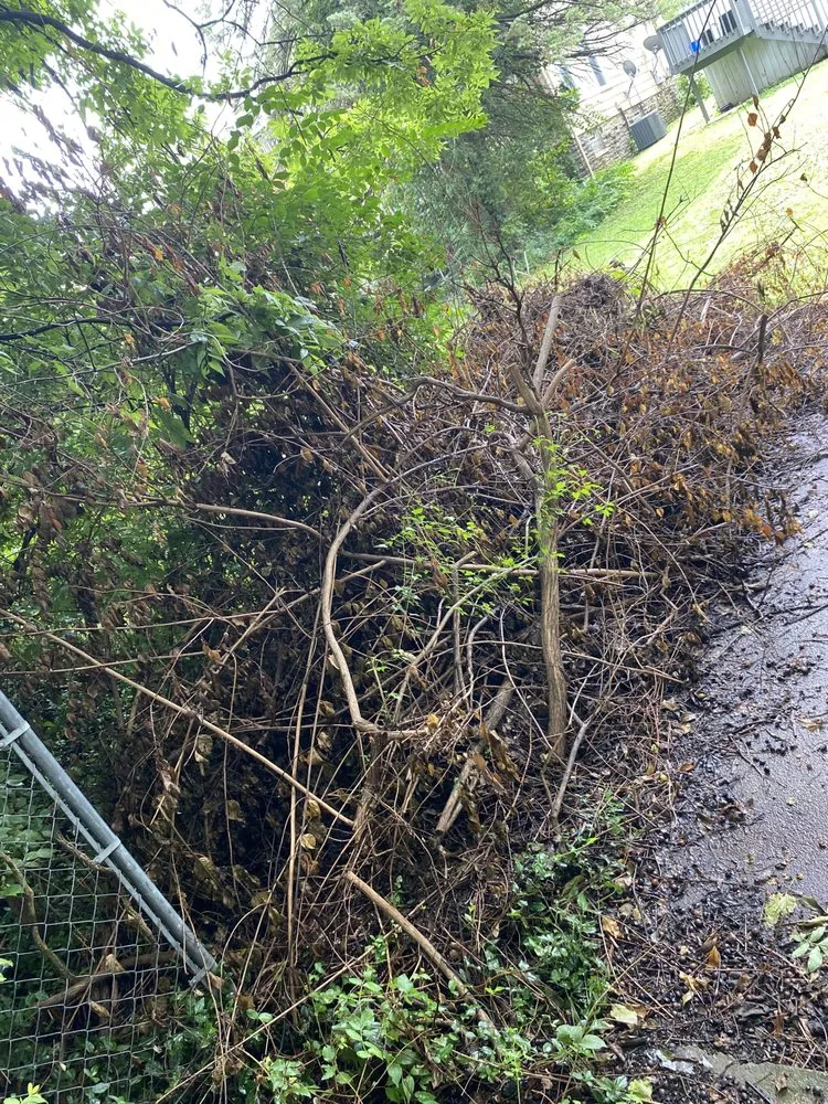 Expert landscape installation in Cincinnati, OH by Cincy Mow Blow & Go