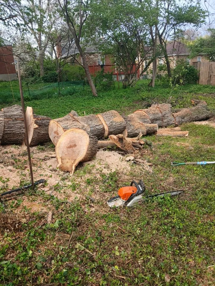 Custom outdoor landscaping for homes across Cincinnati, OH - Cincy Tree Service