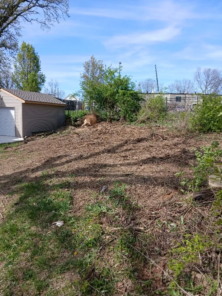 Professional yard maintenance in Cincinnati, OH by Cincy Tree Service