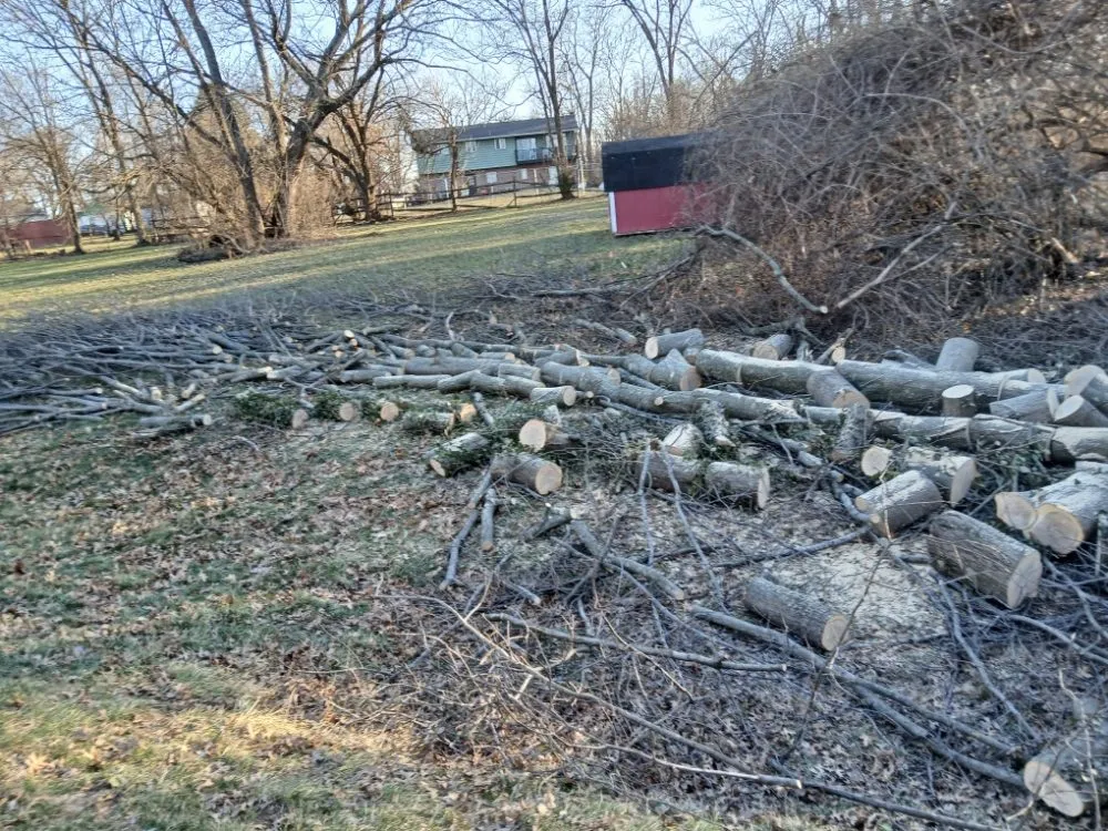 Expert lawn care service in Cincinnati, OH - Cincy Tree Service