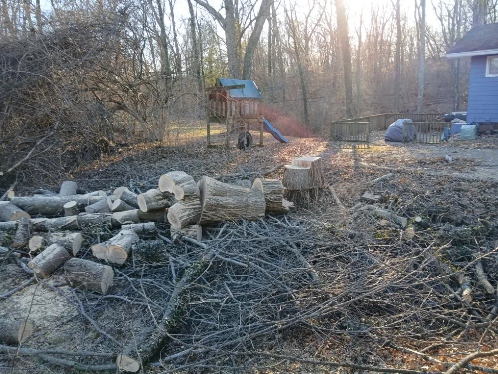 Trusted yard maintenance in Cincinnati, OH - Cincy Tree Service