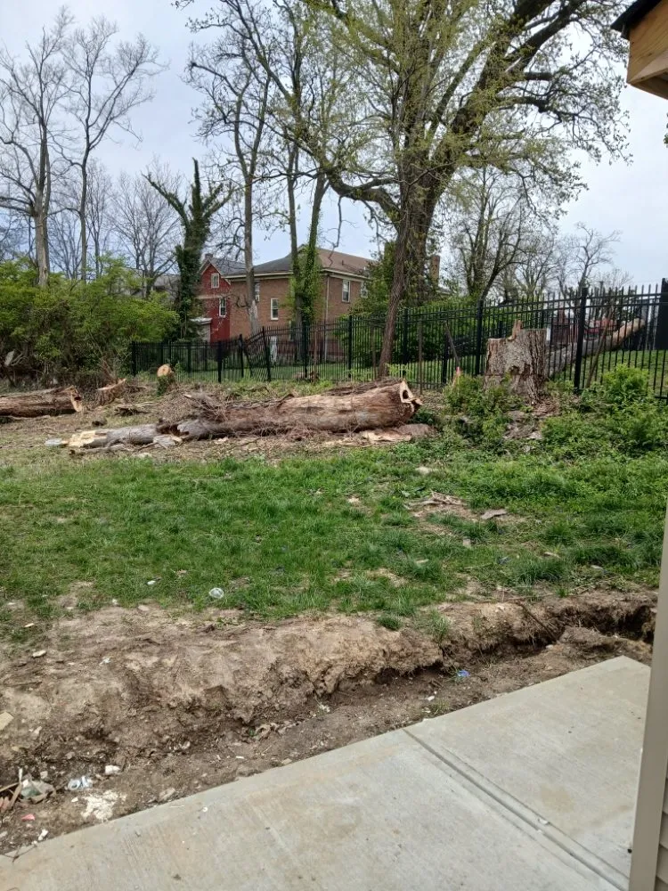 Top-rated landscaping services in Cincinnati, OH - Cincy Tree Service