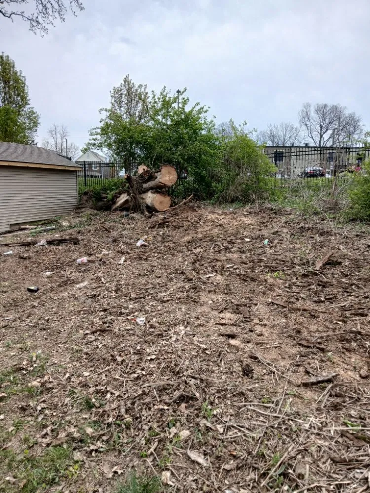 Affordable yard maintenance experts serving Cincinnati, OH - Cincy Tree Service