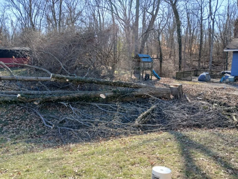 Top-rated garden landscaping in Cincinnati, OH by Cincy Tree Service