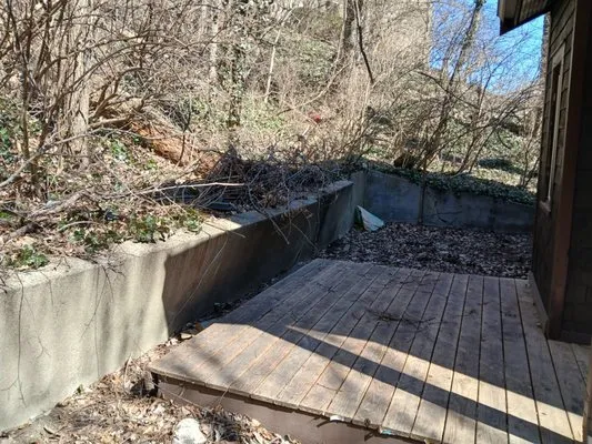 Cincy Tree Service Logo