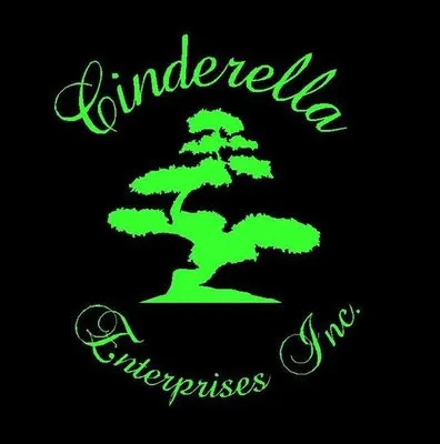 Cinderella Enterprises Logo