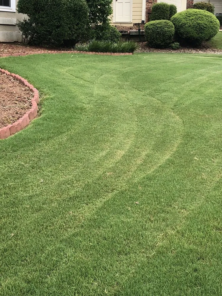 Trusted yard cleanup service in Woodstock, GA by Cindy's Yards