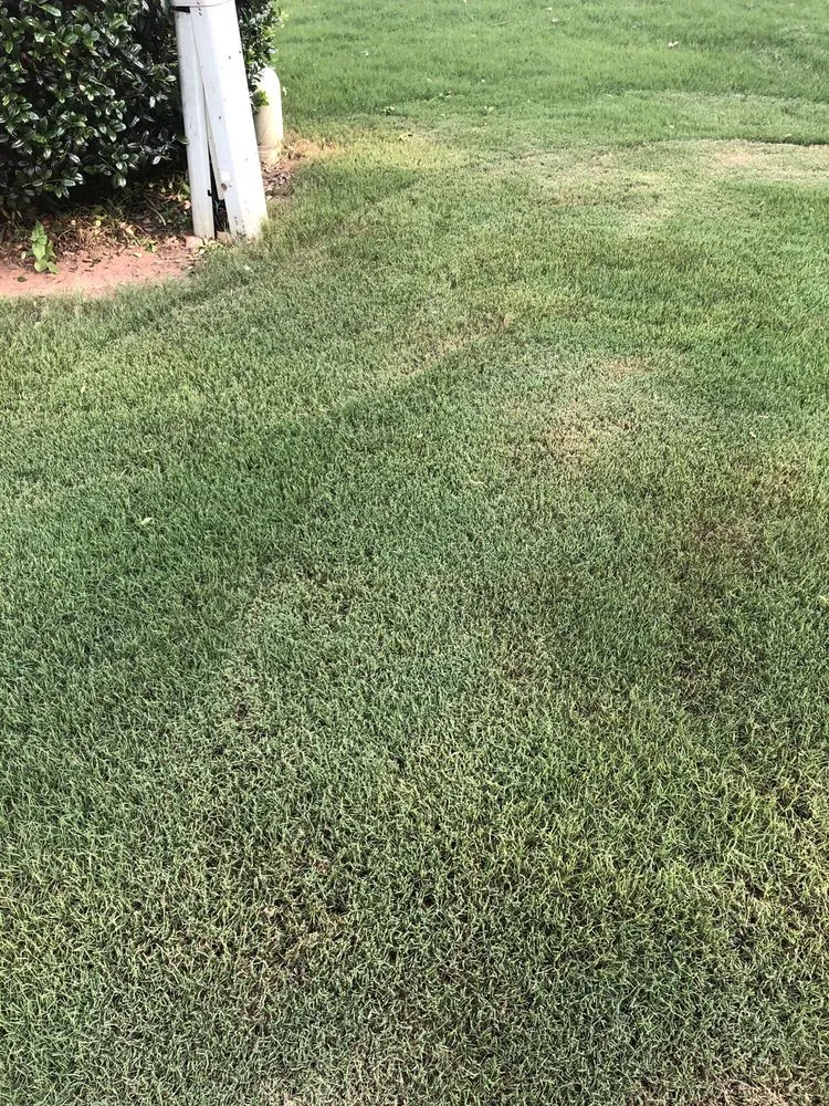 Expert landscape design for outdoor upgrades across Woodstock, GA - Cindy's Yards