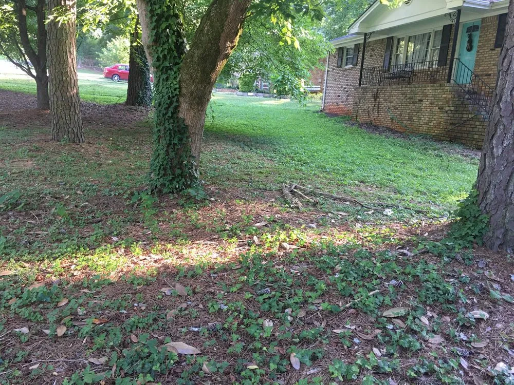 Affordable yard maintenance near you in Woodstock, GA by Cindy's Yards