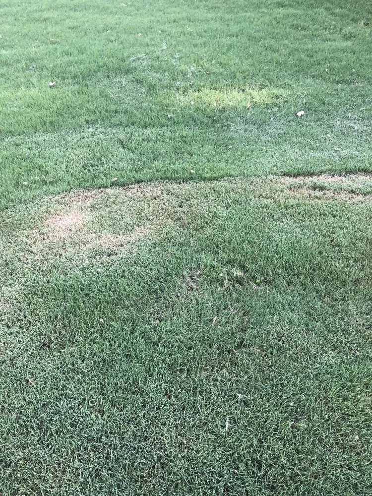 Custom landscaping services in Woodstock, GA by Cindy's Yards