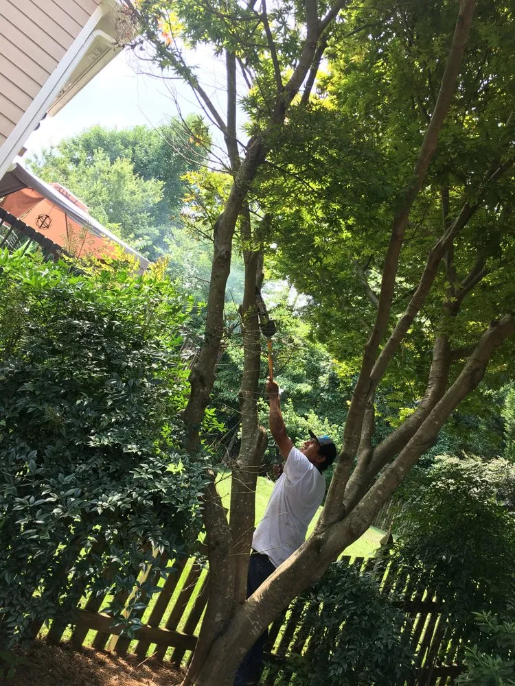 Custom lawn care service for residential properties in Woodstock, GA by Cindy's Yards