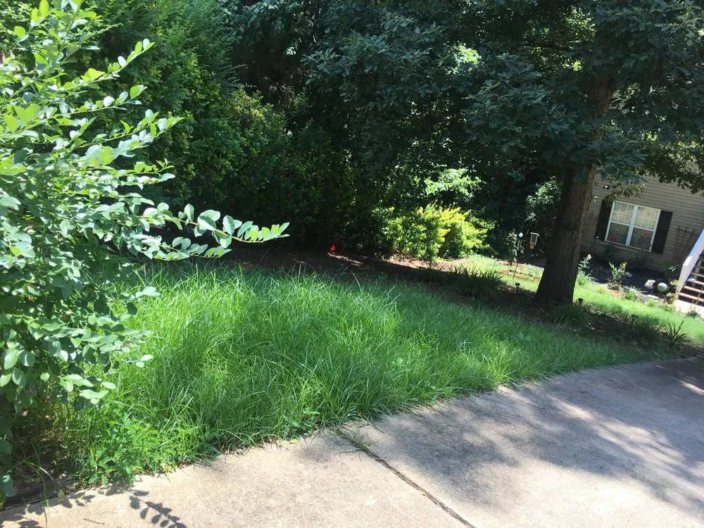 Expert outdoor landscaping experts serving Woodstock, GA - Cindy's Yards