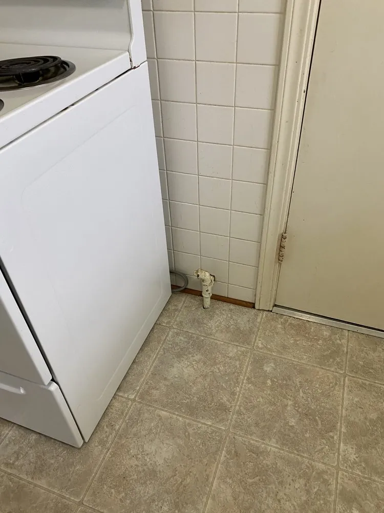 Expert yard maintenance experts serving Kansas City, MO - Cinn’s Cleaning 24/7 & Services