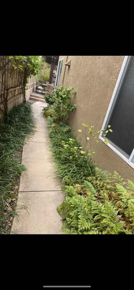 Custom yard cleanup service near you in San Diego, CA by Cintas Landscape Service