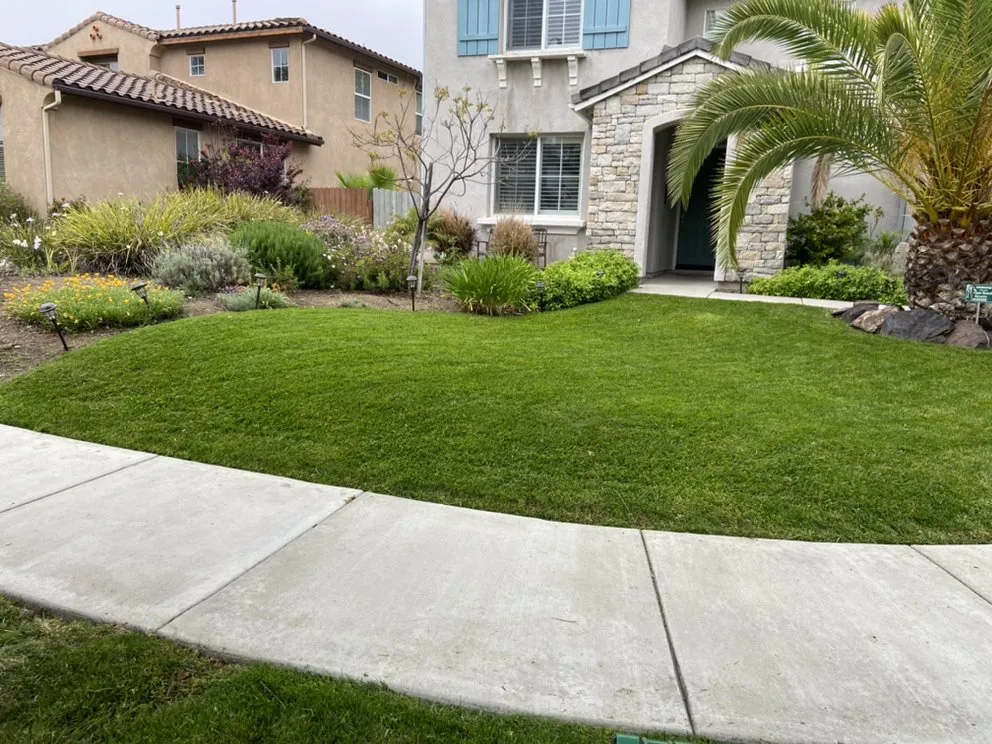 Professional lawn care service for residential properties in San Diego, CA by Cintas Landscape Service
