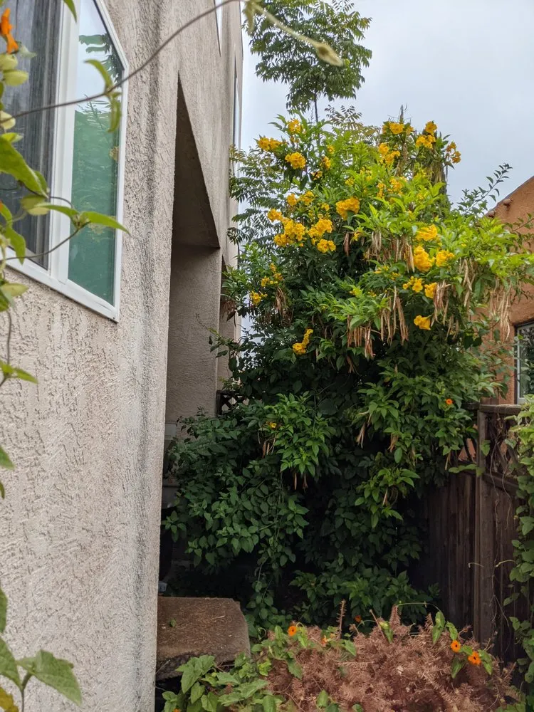 Top-rated yard maintenance in San Diego, CA - Cintas Landscape Service