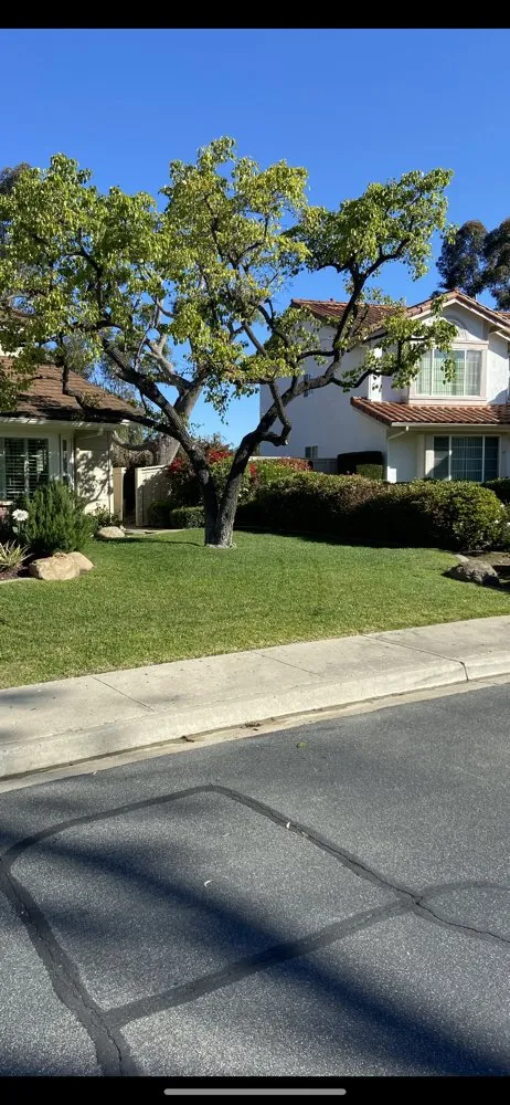 Top-rated residential landscaping in San Diego, CA - Cintas Landscape Service
