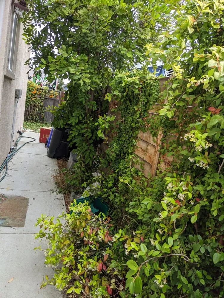 Professional outdoor landscaping for year-round maintenance across San Diego, CA - Cintas Landscape Service