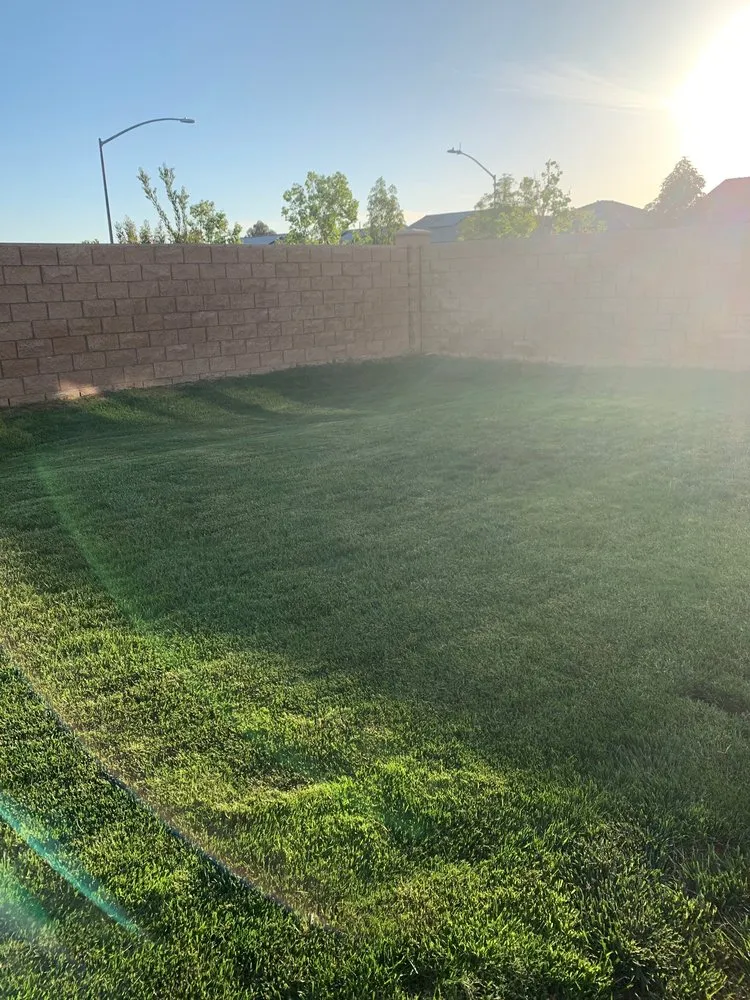 Affordable residential landscaping experts serving San Diego, CA - Cintas Landscape Service