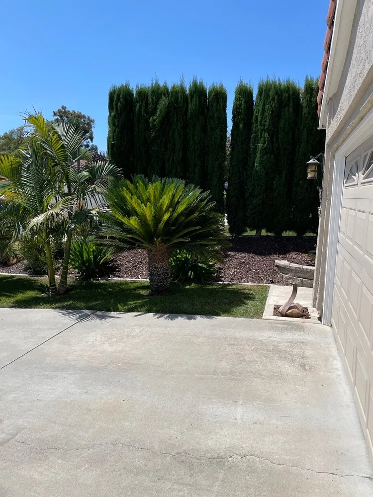 Reliable yard maintenance experts serving San Diego, CA - Cintas Landscape Service