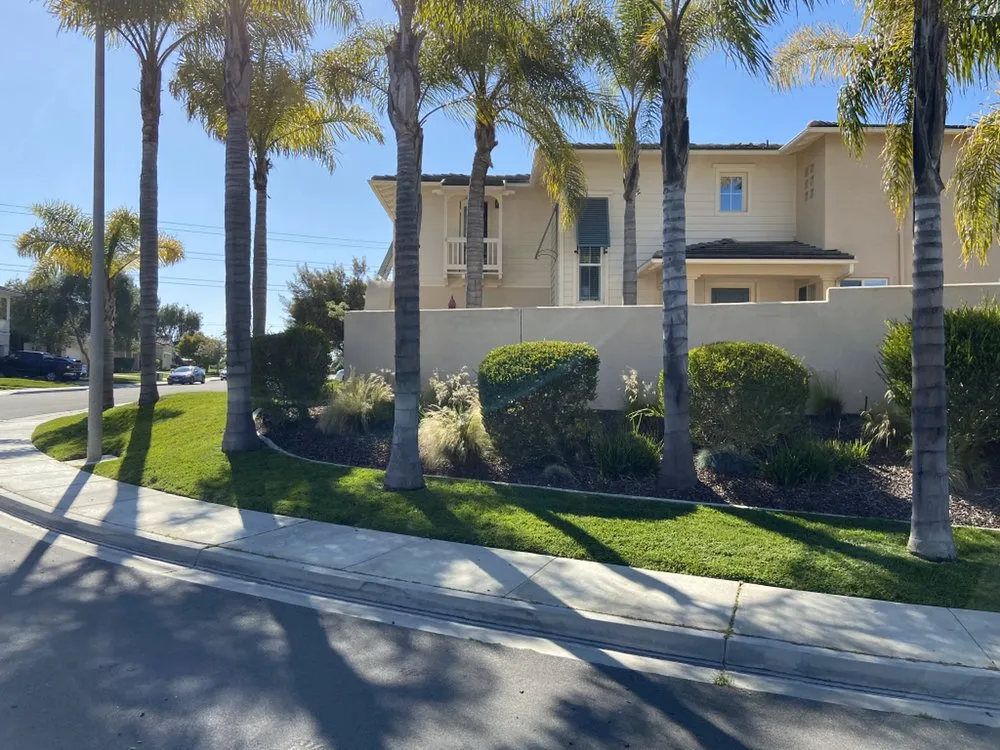 Professional landscape installation in San Diego, CA by Cintas Landscape Service