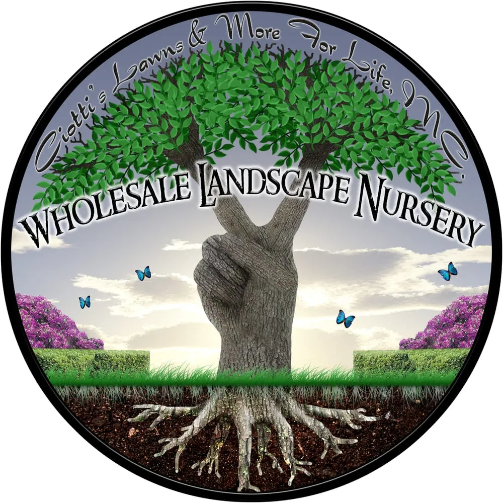 Local yard maintenance experts serving Sanford, FL - Ciotti's Lawns & More For Life