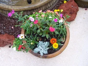 Reliable landscape design in Sanford, FL - Ciotti's Lawns & More For Life