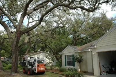 Trusted garden landscaping experts serving Sanford, FL - Ciotti's Lawns & More For Life