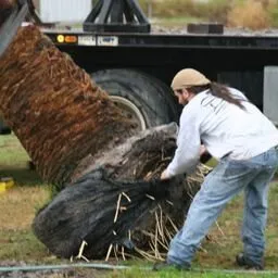 Reliable residential landscaping in Sanford, FL by Ciotti's Lawns & More For Life