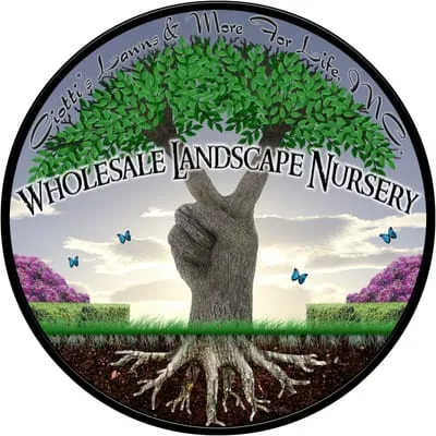 Ciotti's Lawns & More For Life Logo