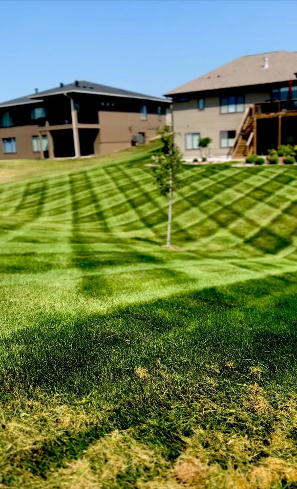 Trusted yard cleanup service for residential properties across Waukee, IA - CIPM Lawn & Landscape