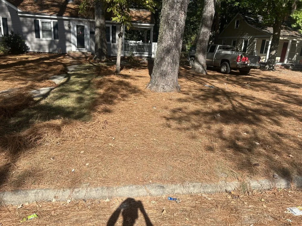 Professional landscape design for outdoor upgrades across Rocky Mount, NC - Cipollas Home Imporvement