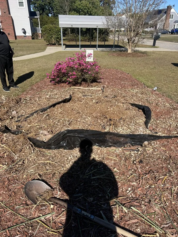 Affordable outdoor landscaping for homes across Rocky Mount, NC - Cipollas Home Imporvement