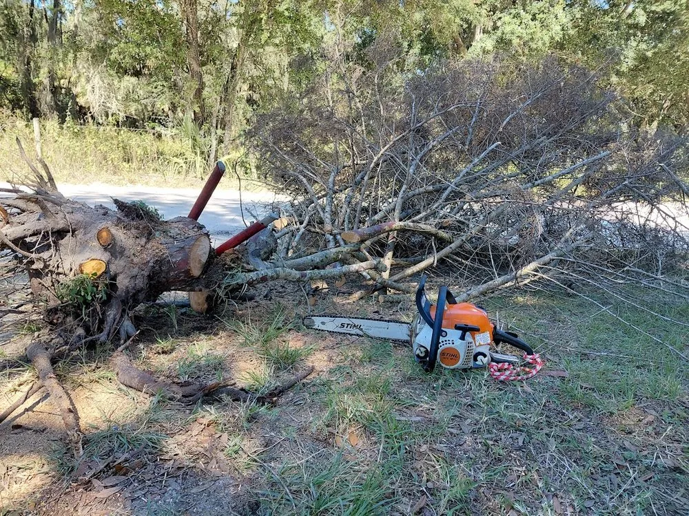 Trusted landscaping services experts serving Dade City, FL - Circle B Tree and Lawn Service