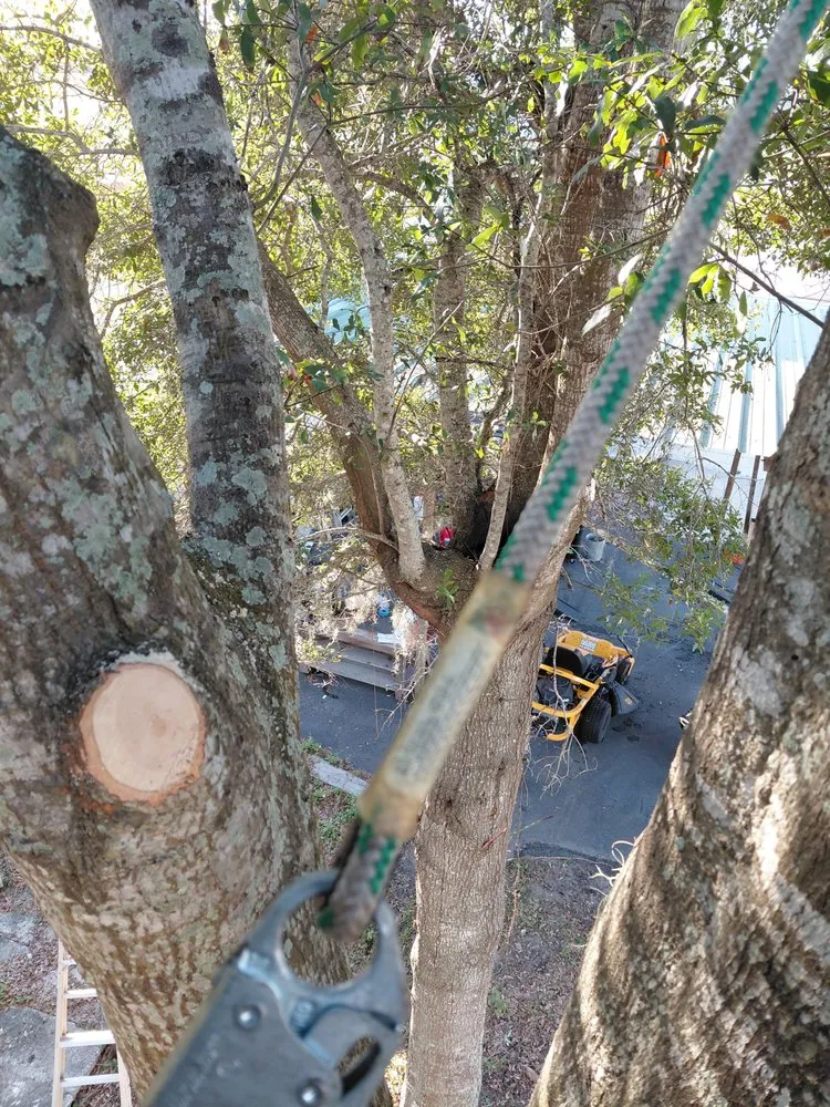 Reliable lawn mowing service in Dade City, FL - Circle B Tree and Lawn Service