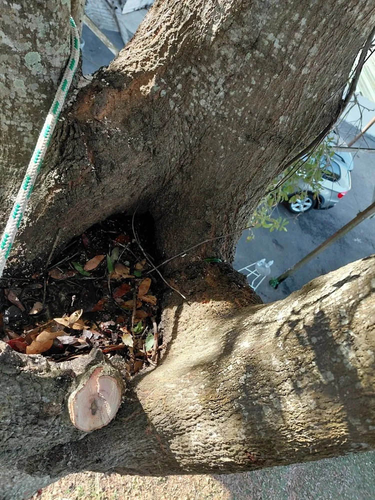 Professional landscape installation for beautiful yards in Dade City, FL by Circle B Tree and Lawn Service