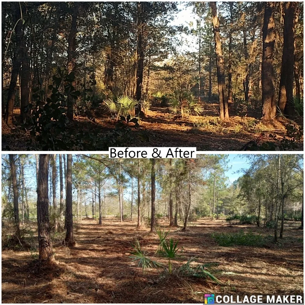 Top-rated garden landscaping for year-round maintenance across Glennville, GA - Circle C Farms Land Management