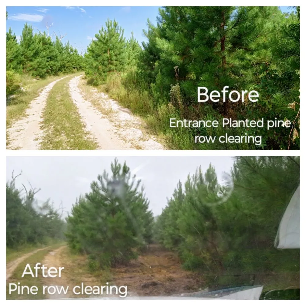 Professional lawn care service in Glennville, GA by Circle C Farms Land Management