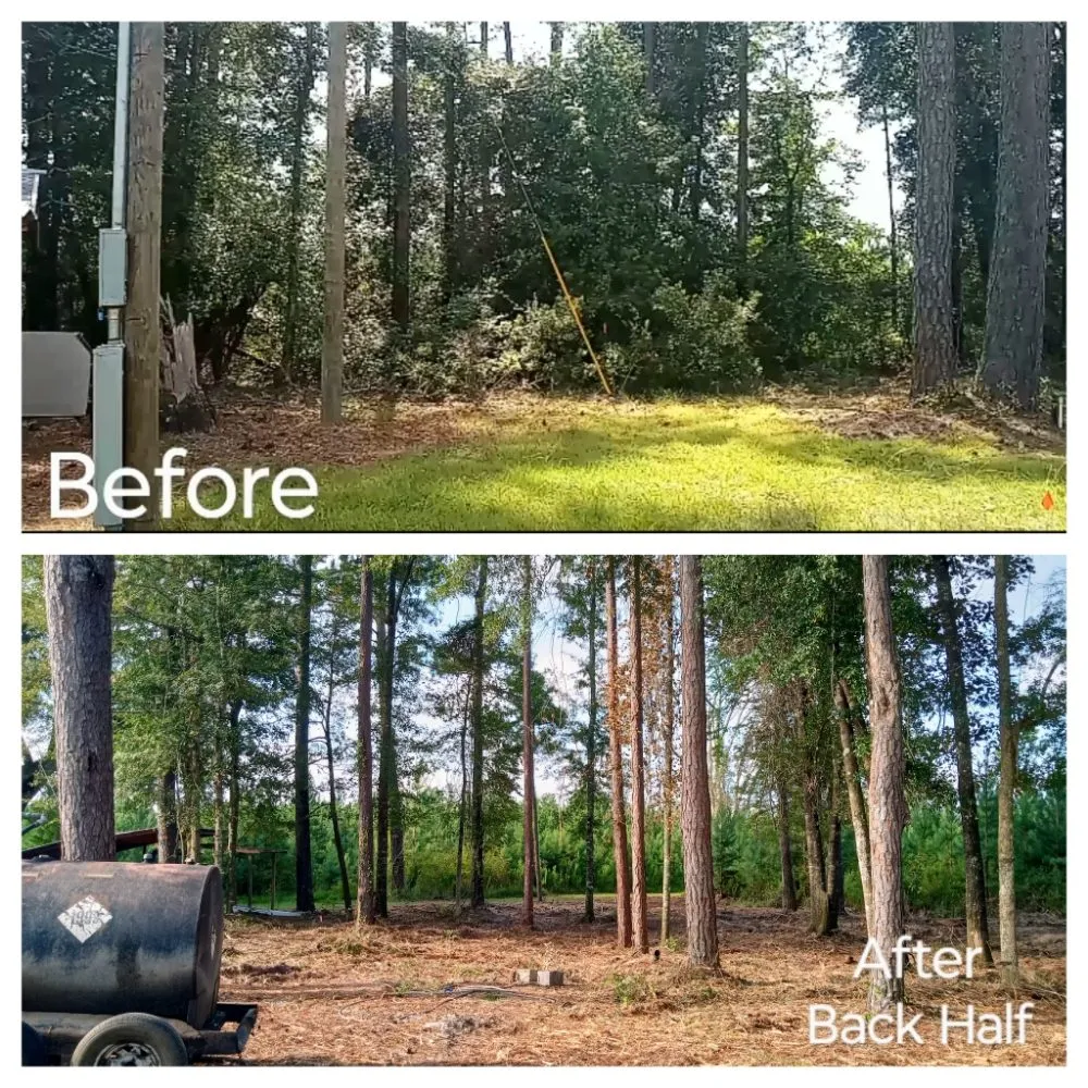 Top-rated lawn care service for year-round maintenance across Glennville, GA - Circle C Farms Land Management