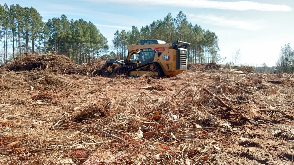 Professional residential landscaping for beautiful yards in Glennville, GA by Circle C Farms Land Management