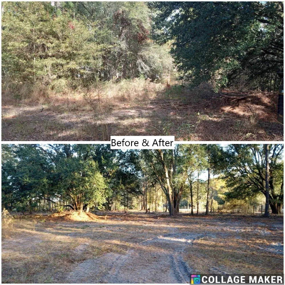 Trusted outdoor landscaping experts serving Glennville, GA - Circle C Farms Land Management