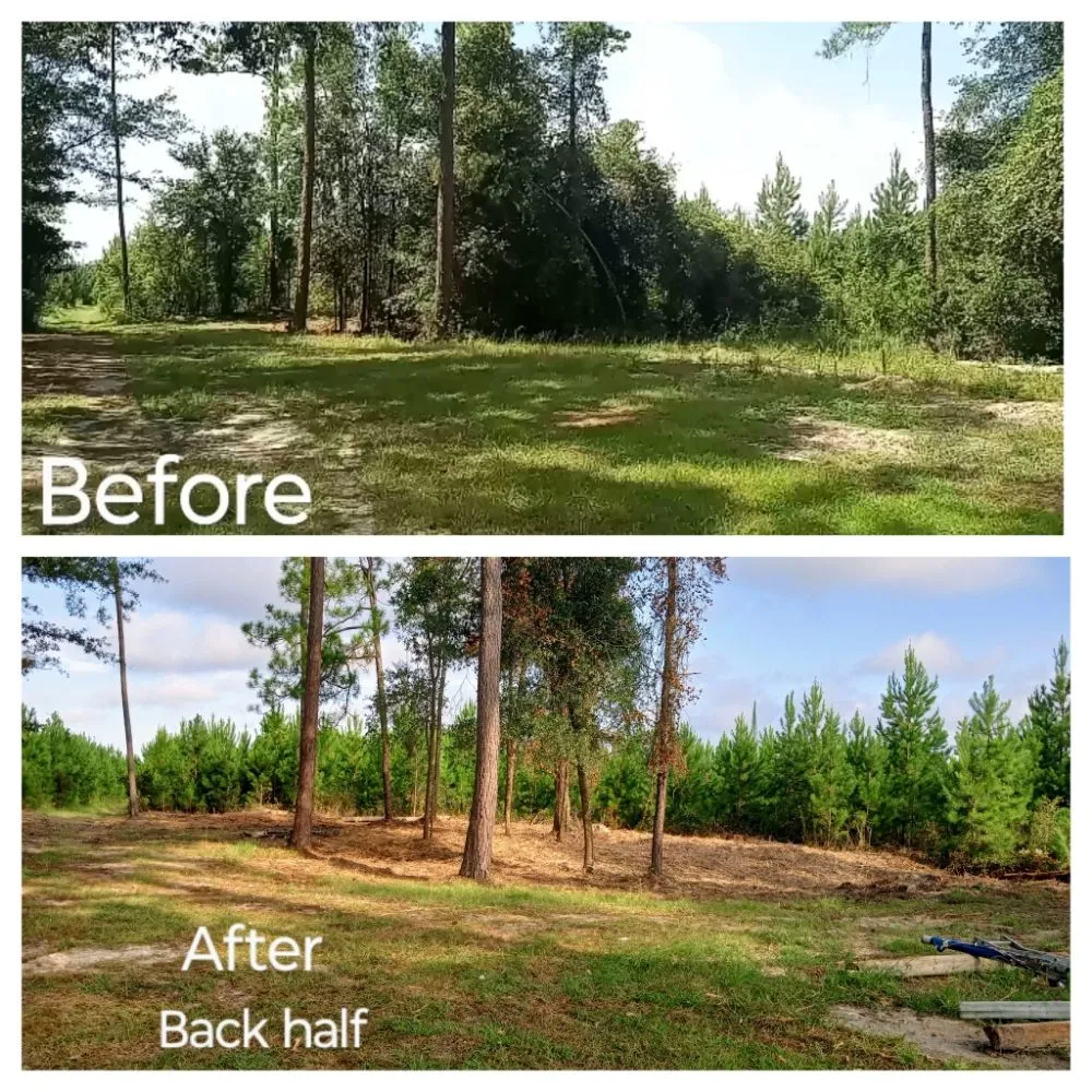 Top-rated landscaping services for homes across Glennville, GA - Circle C Farms Land Management