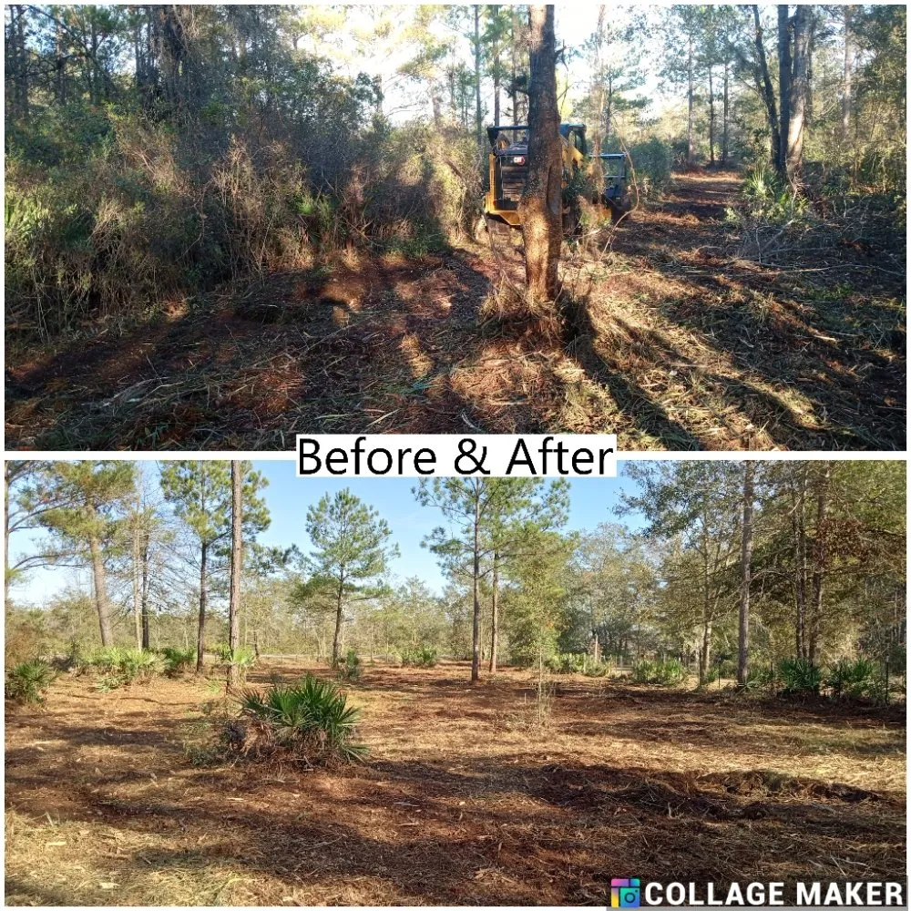 Professional yard cleanup service in Glennville, GA - Circle C Farms Land Management