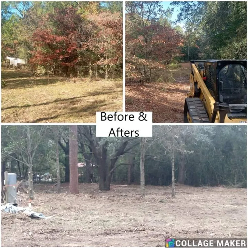 Reliable lawn mowing service for year-round maintenance in Glennville, GA by Circle C Farms Land Management