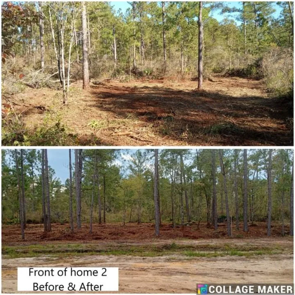 Custom yard cleanup service for year-round maintenance in Glennville, GA by Circle C Farms Land Management