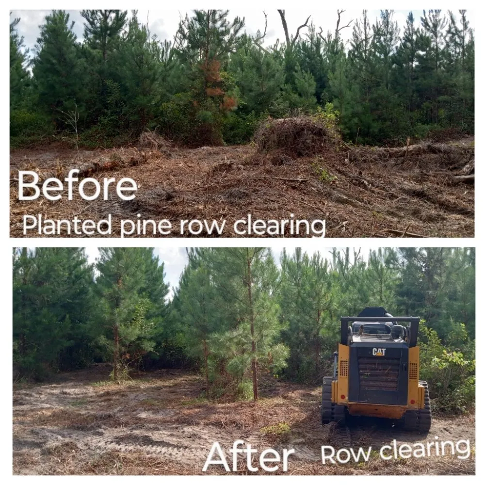 Professional yard cleanup service in Glennville, GA - Circle C Farms Land Management